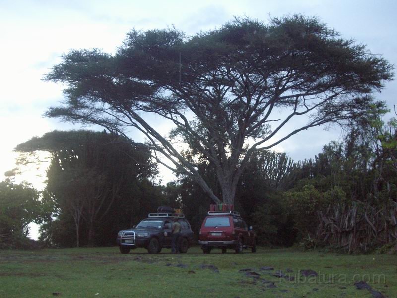 IMG018.jpg