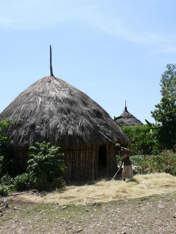 IMG023.JPG