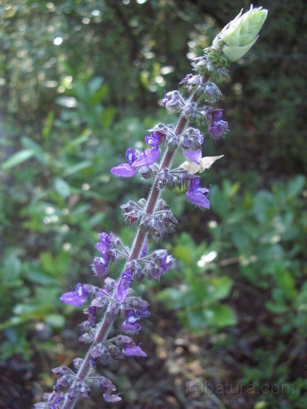 IMG124.jpg
