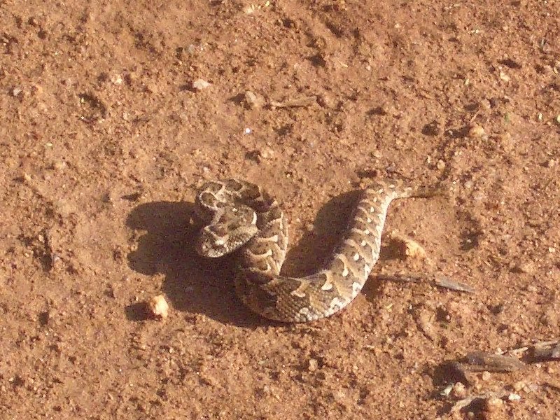 IMG182.jpg