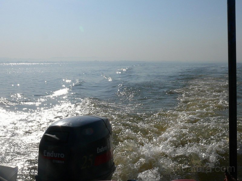 P1100021.JPG