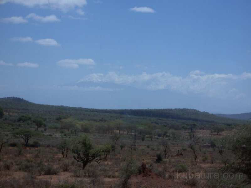 IMGP0145.JPG