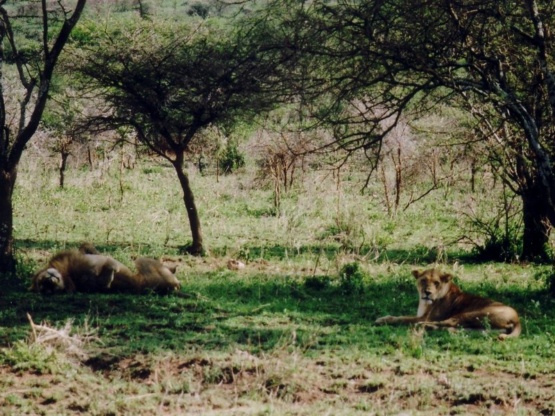 IMGP0316.jpg