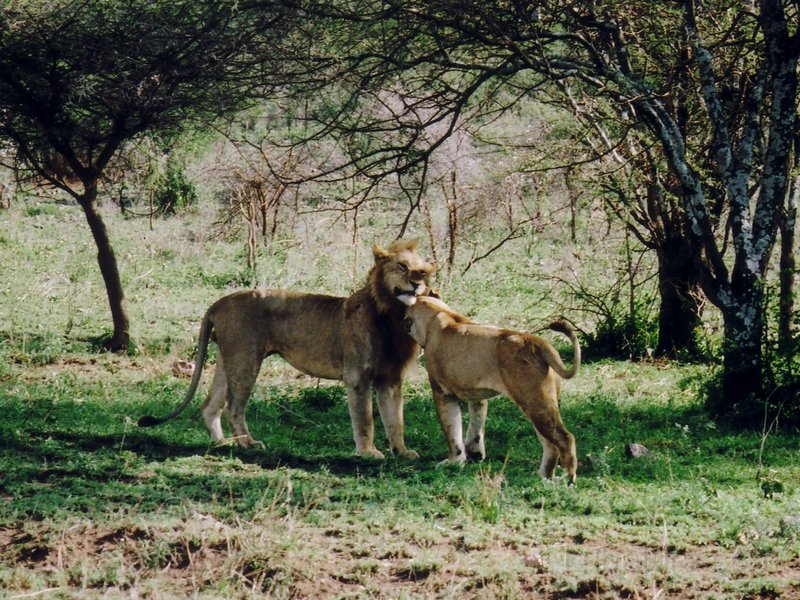 IMGP0318.jpg