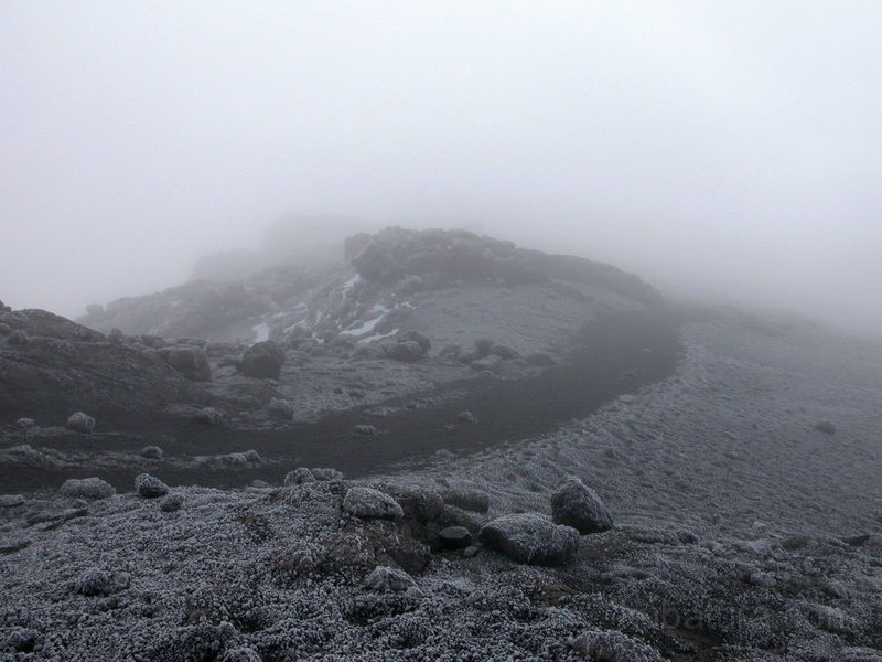 IMGP0405.jpg