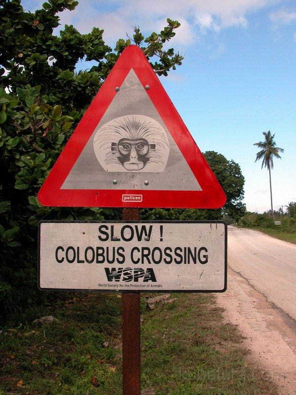 IMGP0513.jpg