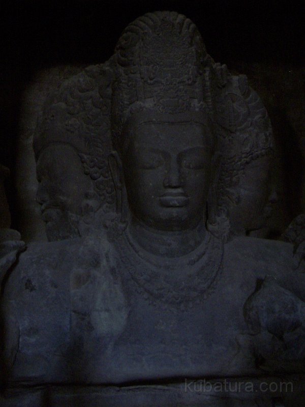 IMGP7843.JPG
