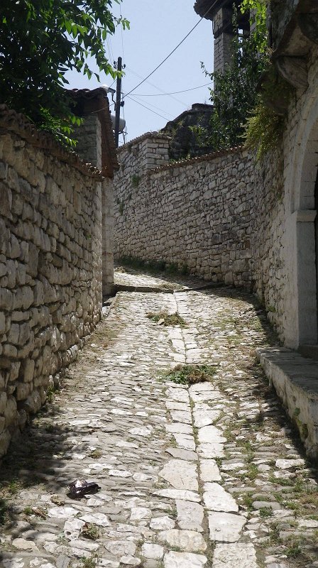 IMGP0475.jpg
