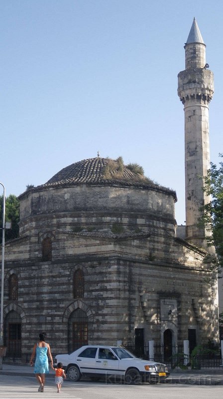IMGP0609.jpg
