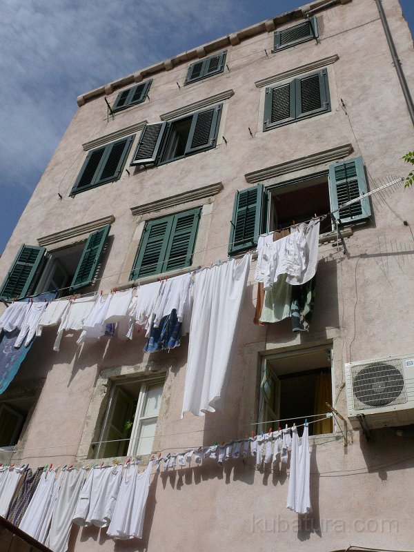 P1100830.jpg