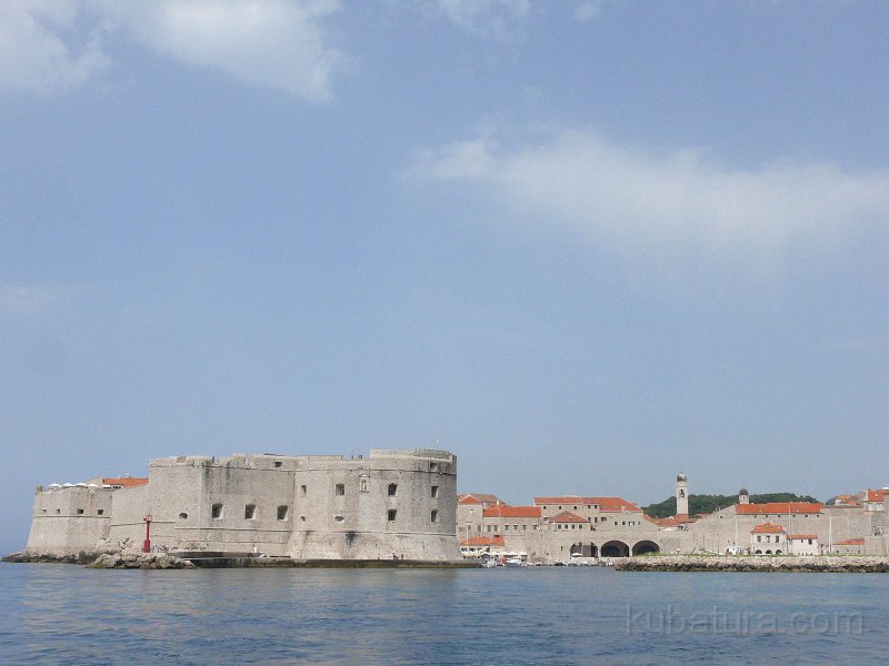 P1100846.jpg