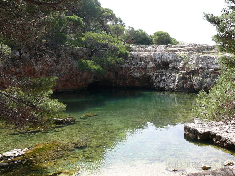 P1100872.jpg