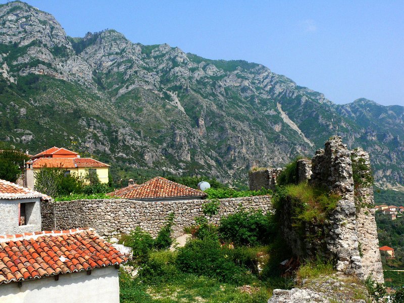 P1100946a.jpg