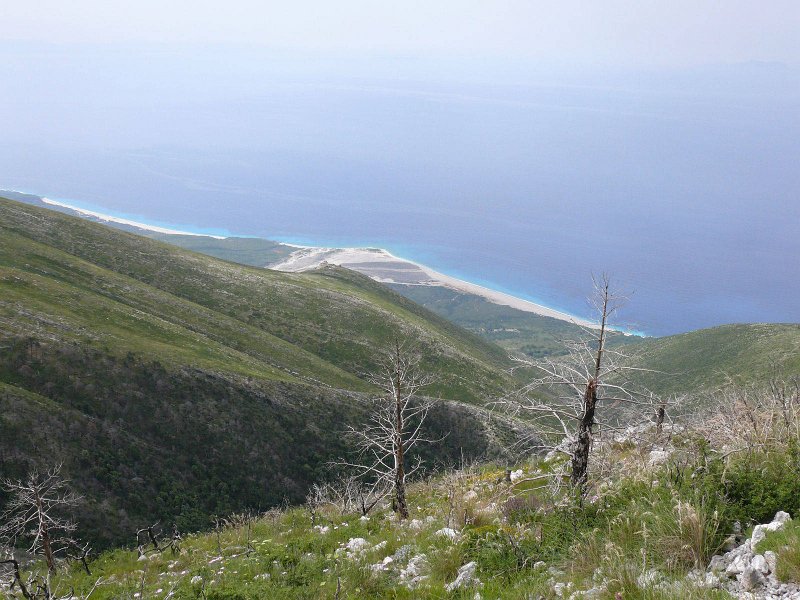 P1110051.jpg