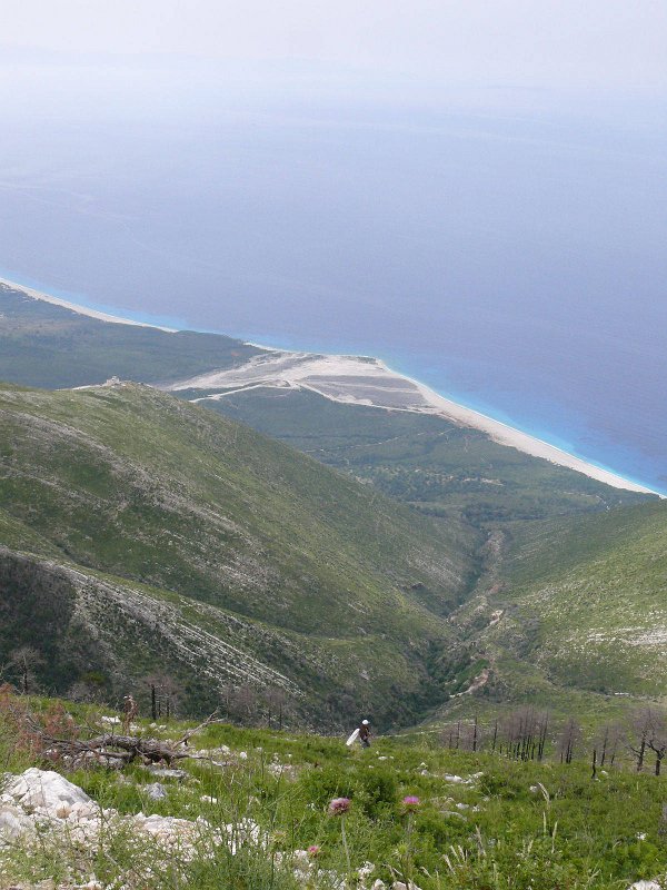 P1110054.jpg