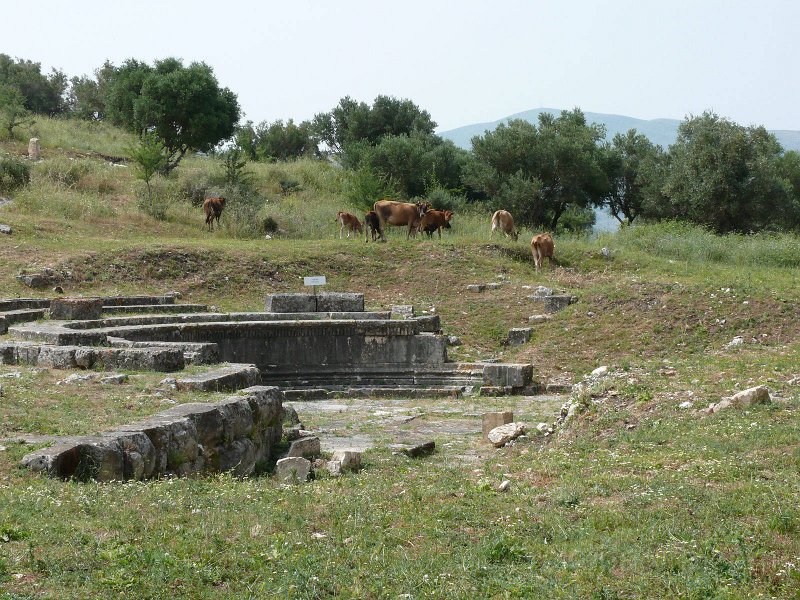 P1110084.jpg