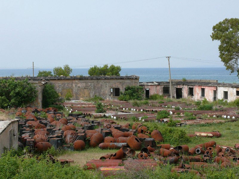 P1110104.jpg