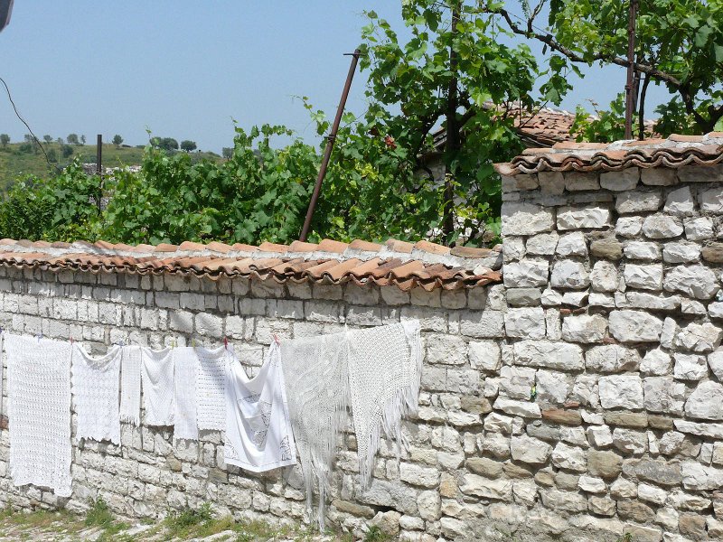 P1110216.jpg