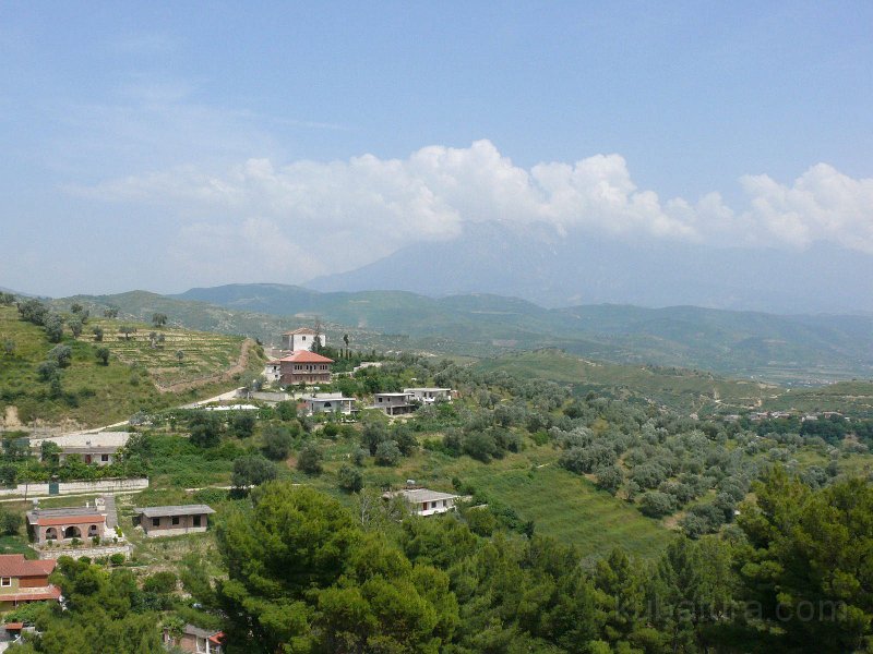 P1110221.jpg