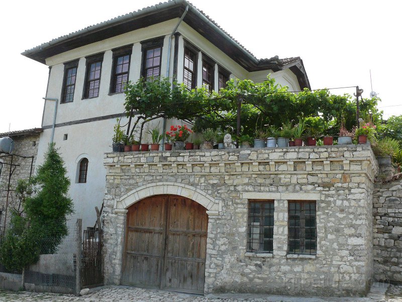 P1110231.jpg