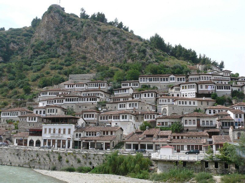 P1110255.jpg