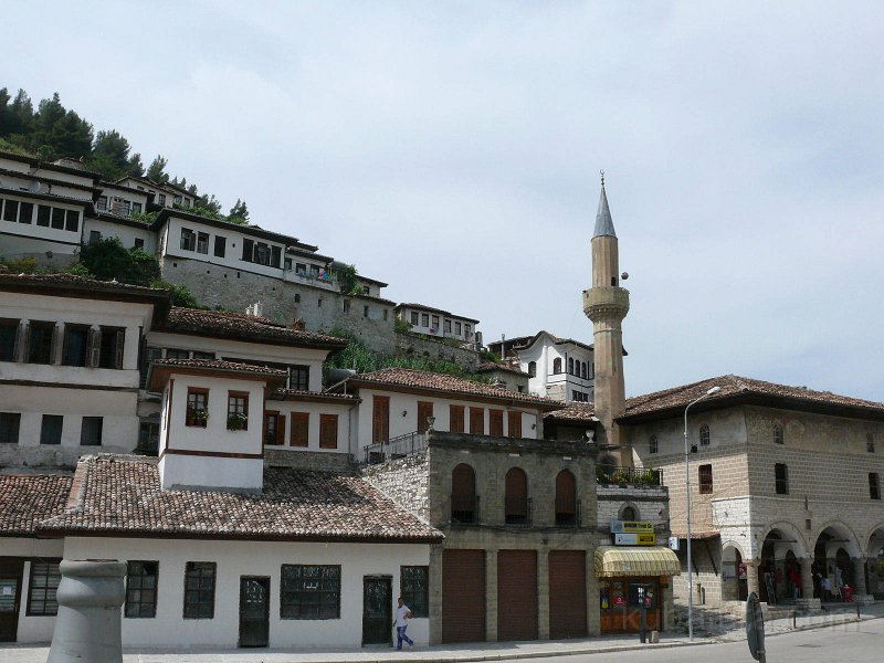 P1110264.jpg
