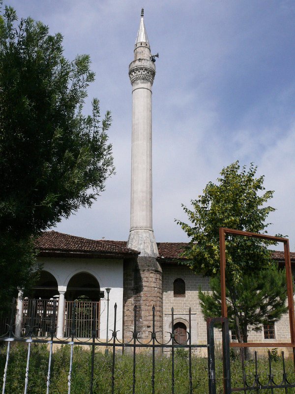 P1110277.jpg