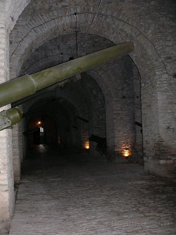 P1110335.jpg