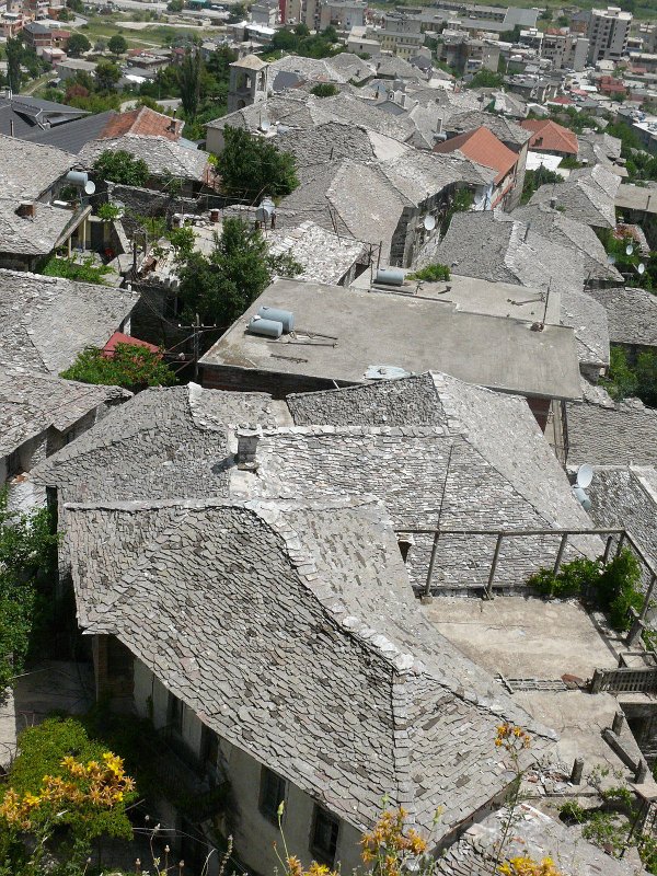 P1110376.jpg