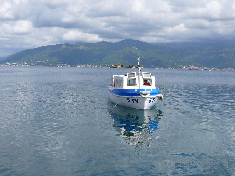 P1110532.jpg