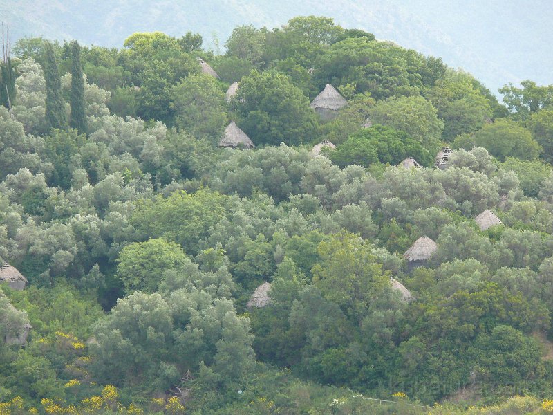 P1110536.jpg
