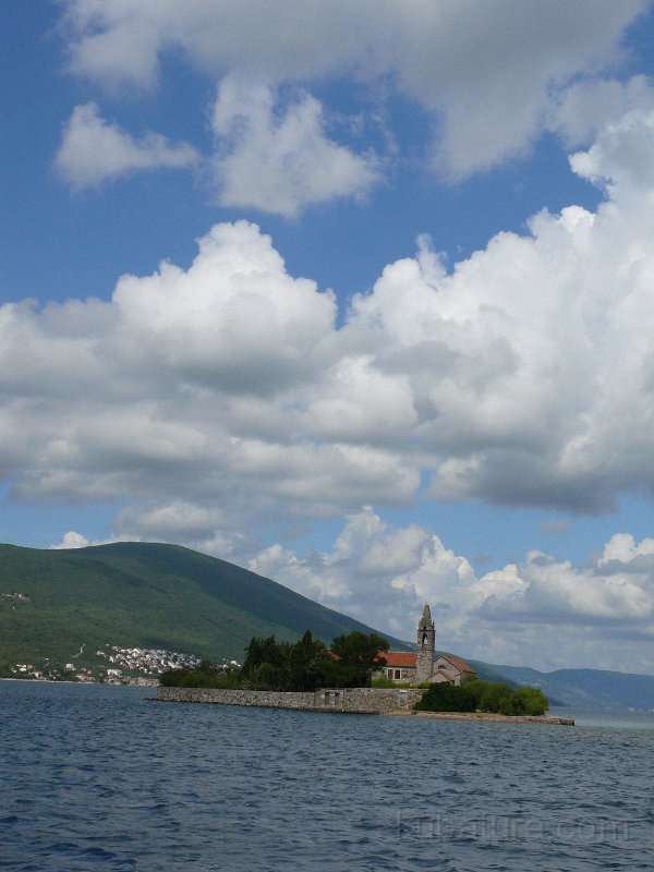 P1110537.jpg