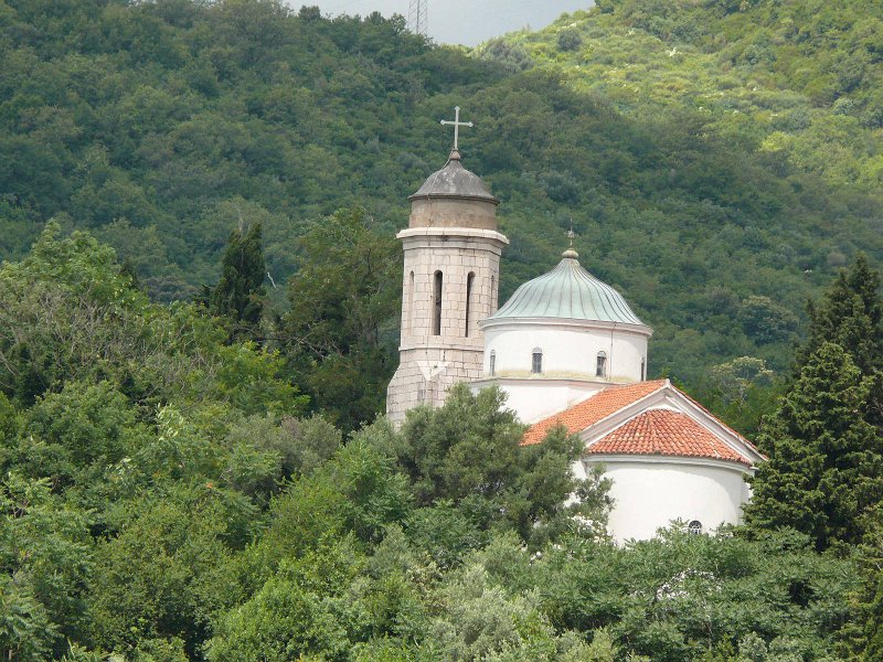 P1110556.jpg