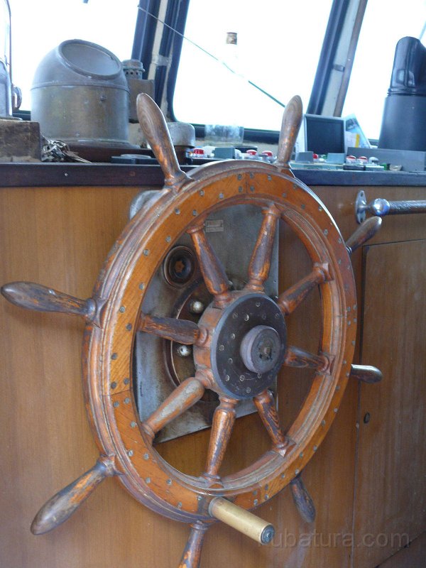 P1110591.jpg