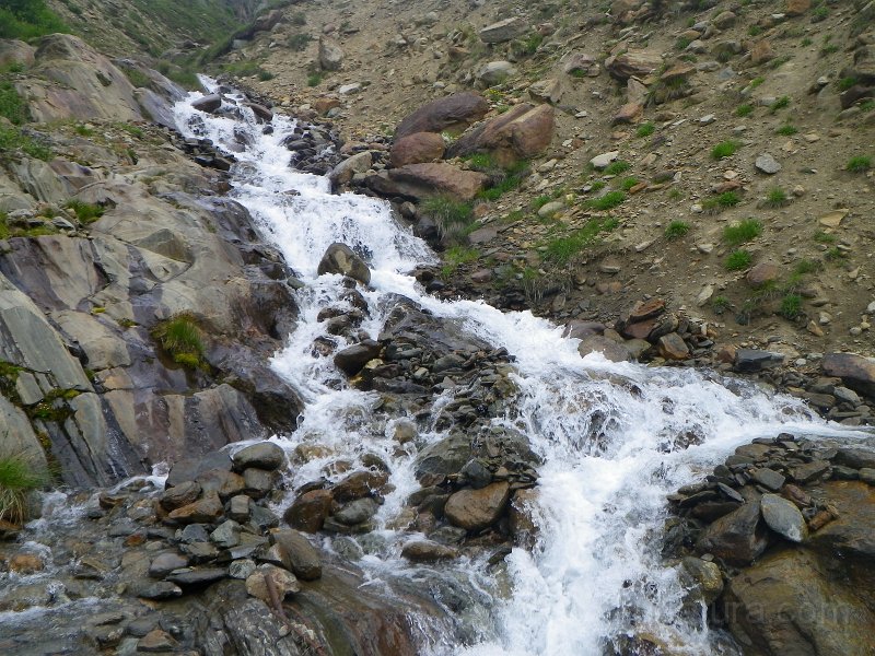 IMGP2878.JPG