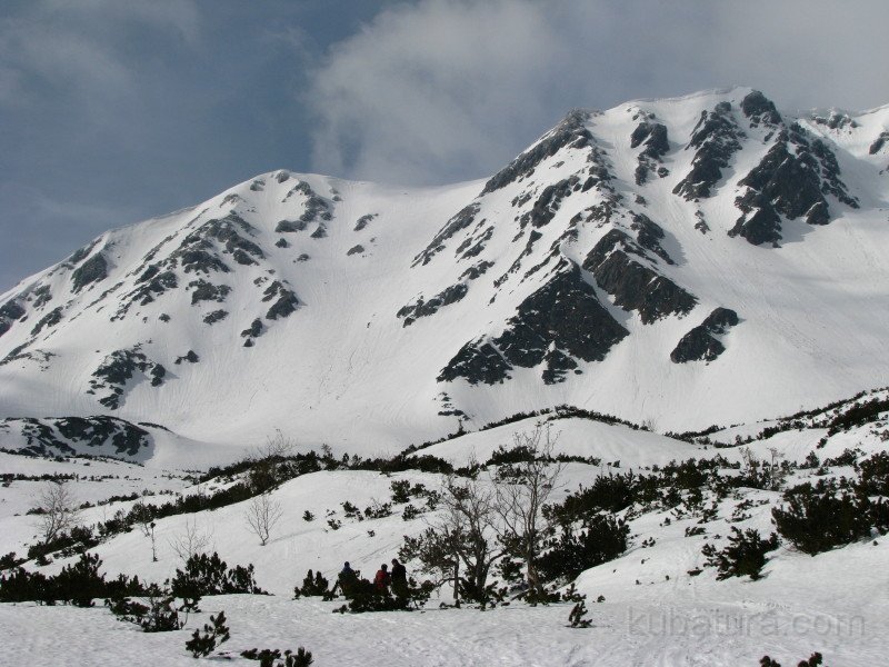 IMG18.jpg