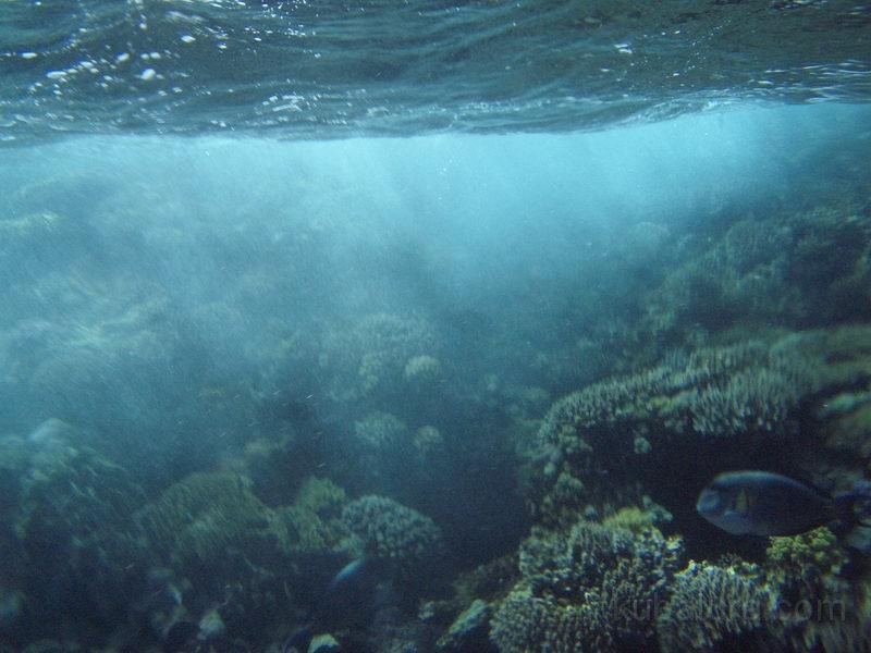 IMG004.JPG