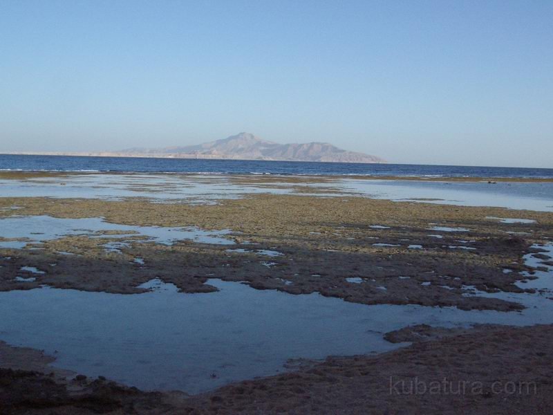 IMG006.JPG