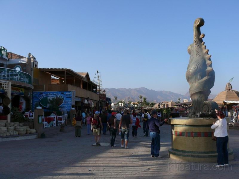 IMG040.JPG