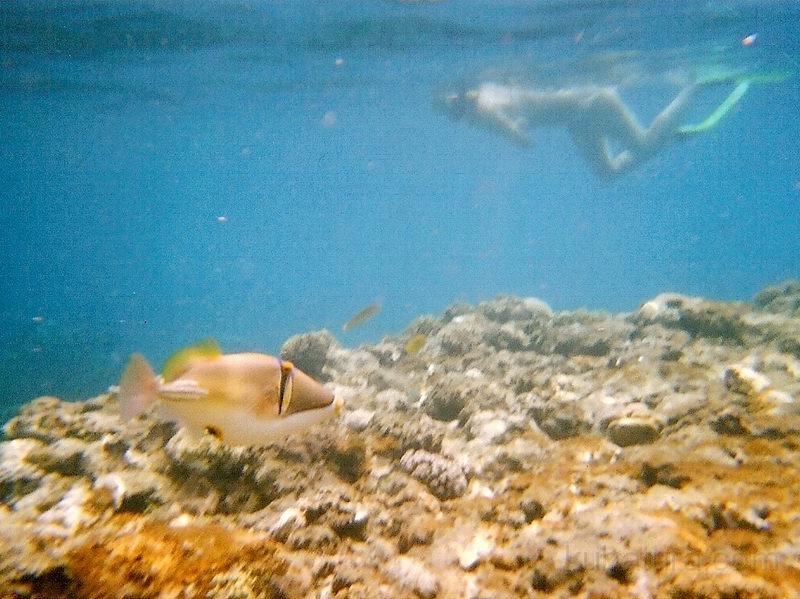 IMG057.jpg