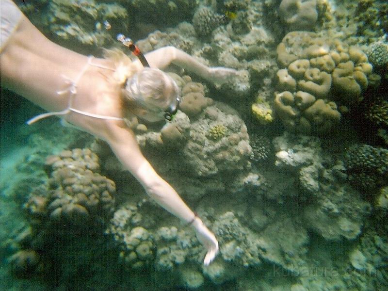 IMG063.jpg