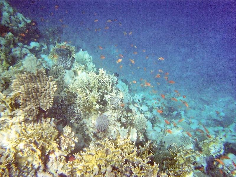 IMG066.jpg