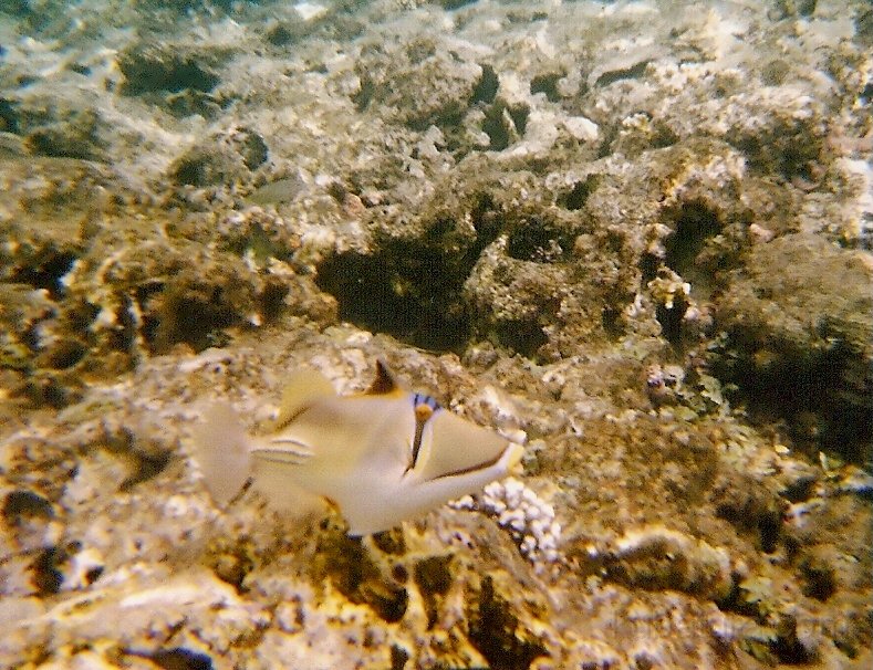 IMG067.jpg