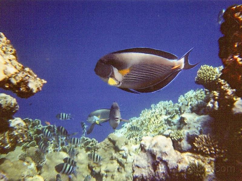 IMG068.jpg