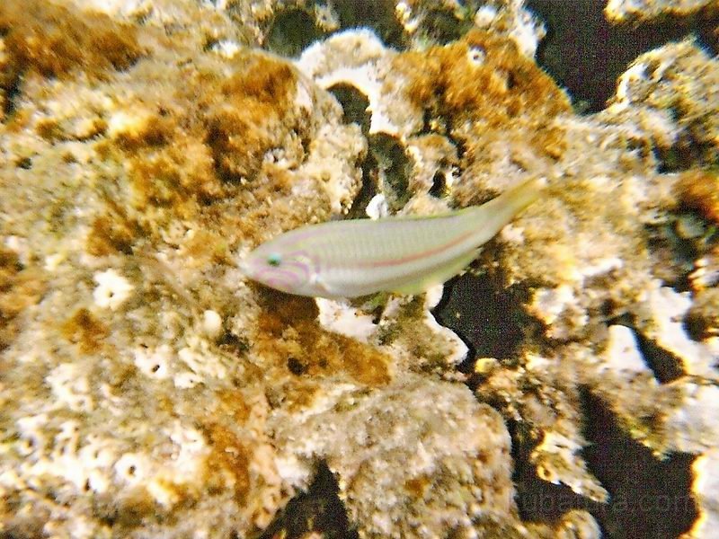 IMG069.jpg