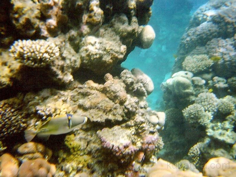 IMG070.jpg
