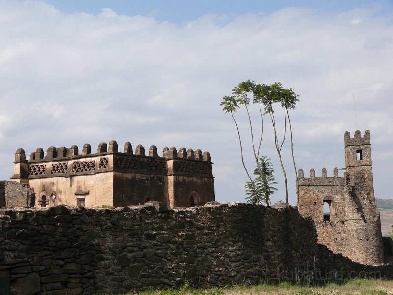 P1090278.JPG